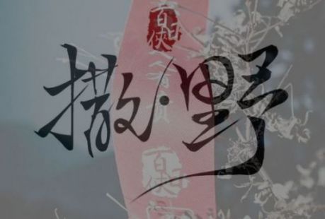 报名|让我们去山里撒点野—— 